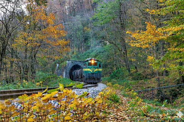 سفر-به-شیرگاه-با-ریل-سیر-کوثر