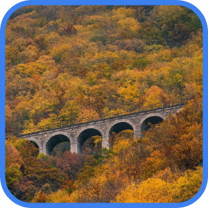 تور-یک-روزه-شیرگاه